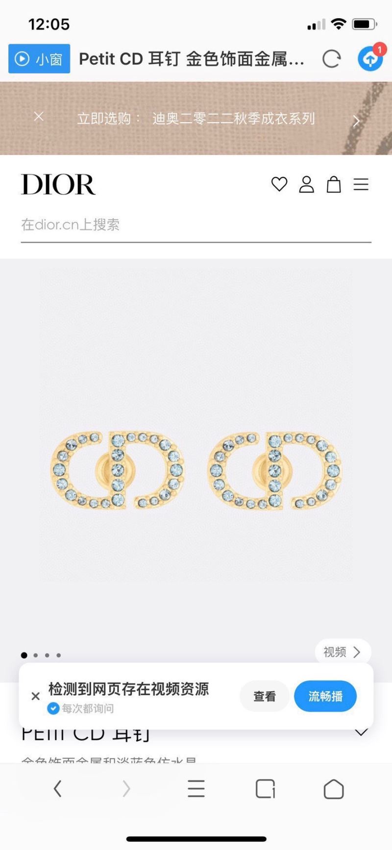 Christian Dior Earrings